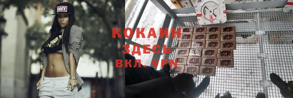 сатива Богородицк