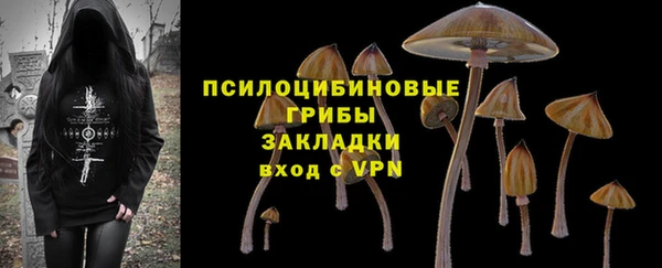сатива Богородицк