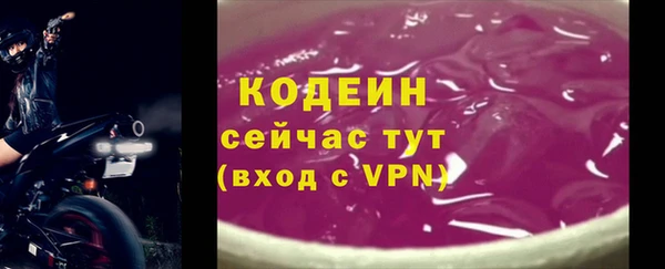 сатива Богородицк