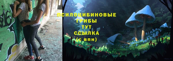 кокаин Богданович